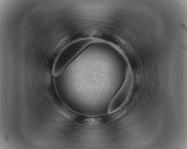 X0000091190558200708231511