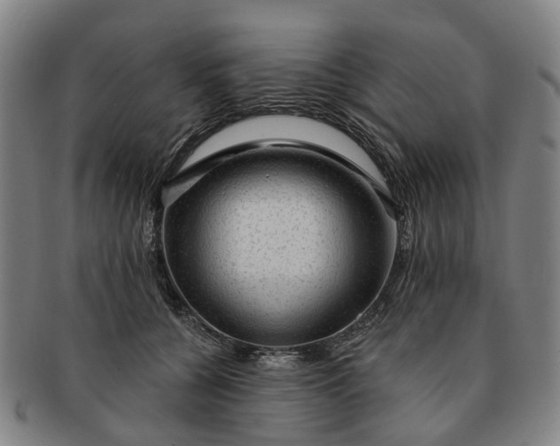 X0000091190560200708231511