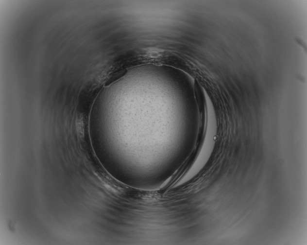 X0000091190562200708231511