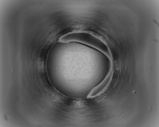 X0000091190564200708231511