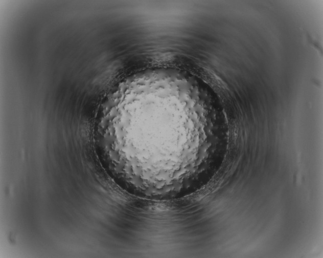 X0000091190565200708231511