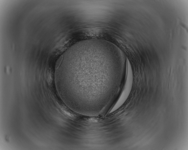 X0000091190566200708231511