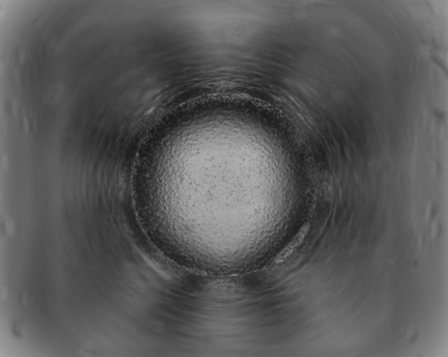 X0000091190568200708231511