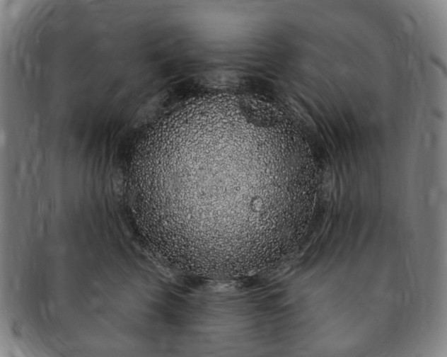 X0000091190569200708231511