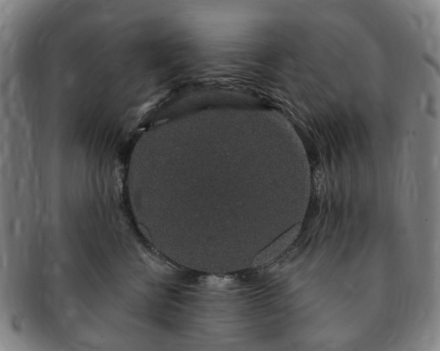 X0000091190570200708231511