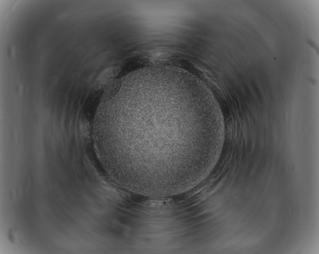 X0000091190571200708231511