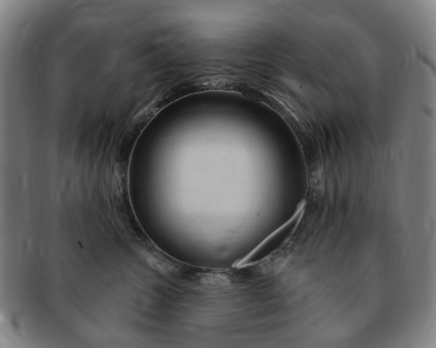 X0000091190572200708231511