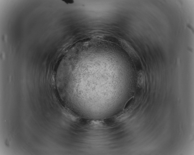 X0000091190573200708231511