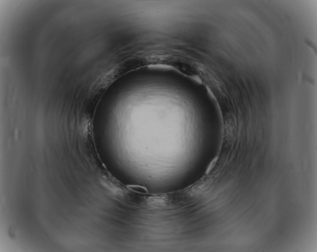 X0000091190574200708231511