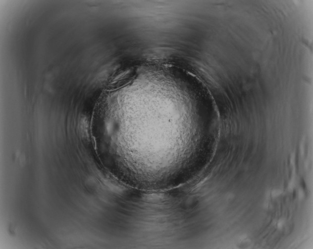 X0000091190575200708231511