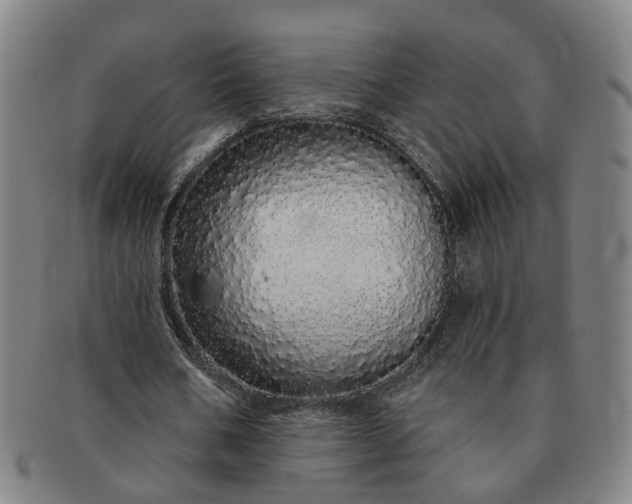 X0000091190578200708231511