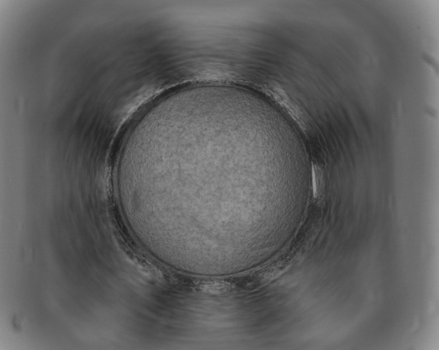 X0000091190579200708231511