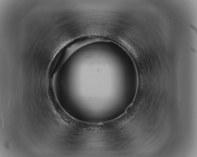 X0000091190580200708231511