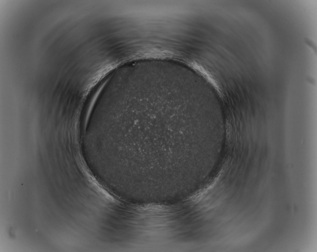 X0000091190581200708231510