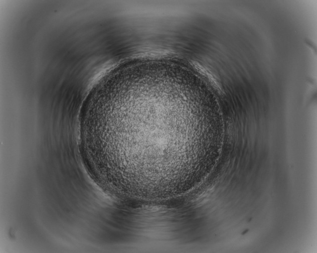 X0000091190582200708231510