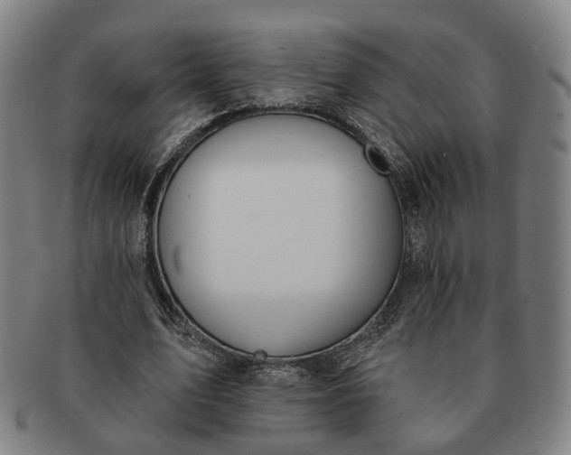 X0000091190583200708231510