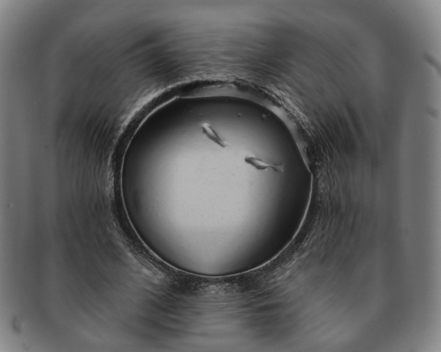 X0000091190584200708231510