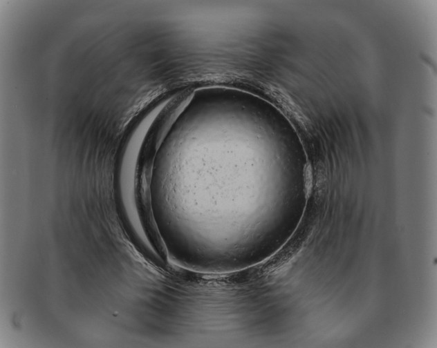 X0000091190585200708231510