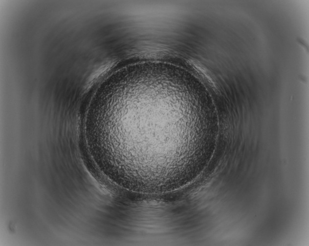 X0000091190586200708231510