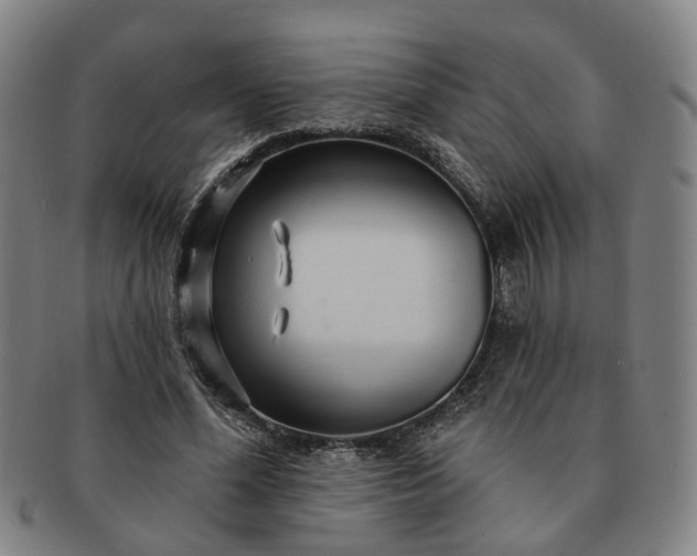 X0000091190588200708231510