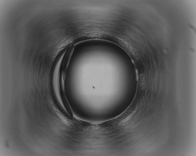 X0000091190589200708231510