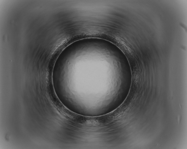 X0000091190591200708231510