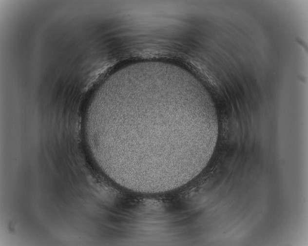 X0000091190592200708231510