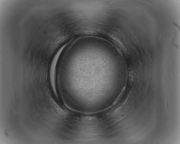 X0000091190593200708231510