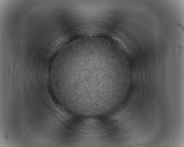 X0000091190594200708231510