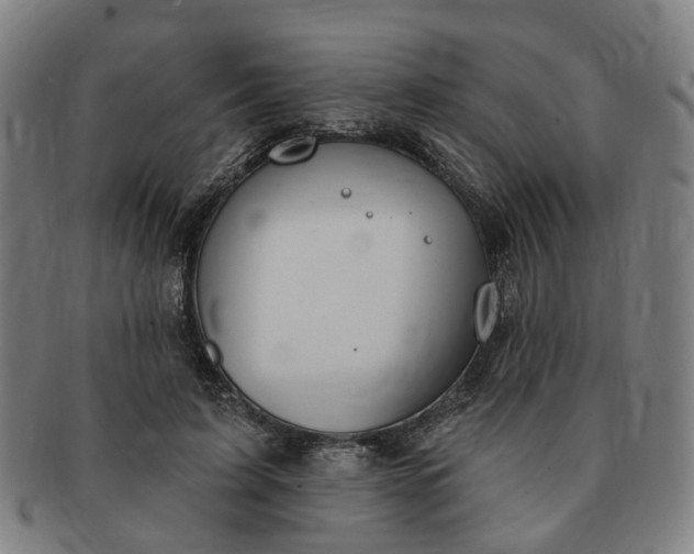 X0000091190595200708231510