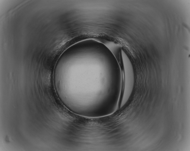 X0000091190596200708231510