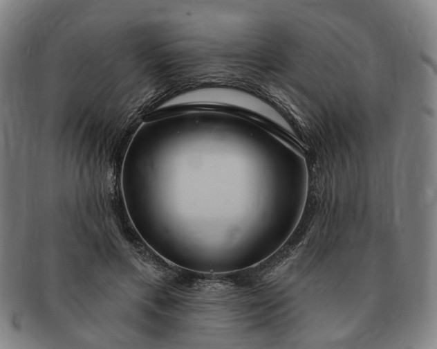 X0000091190597200708231510