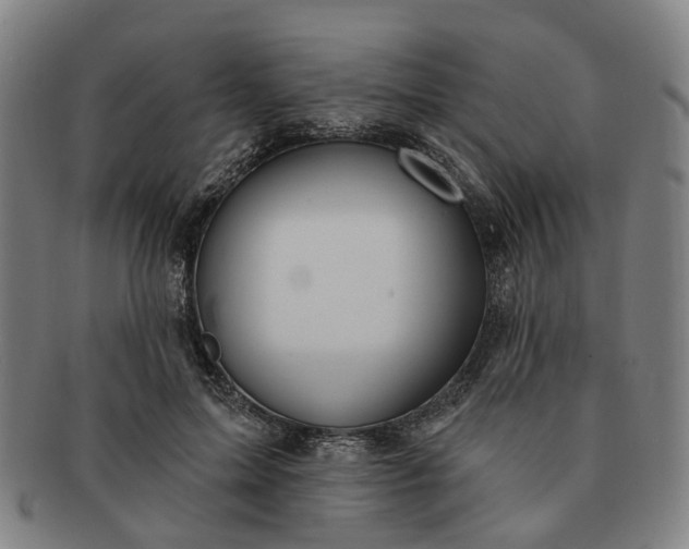 X0000091190599200708231510