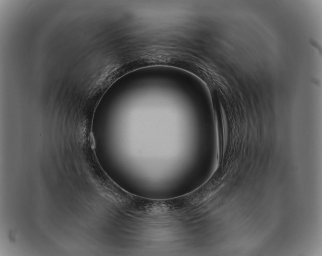 X0000091190600200708231510