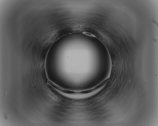 X0000091190601200708231510