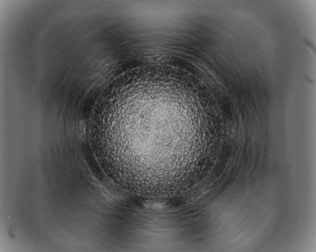 X0000091190602200708231510