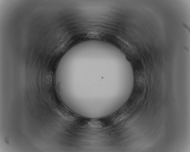 X0000091190603200708231510