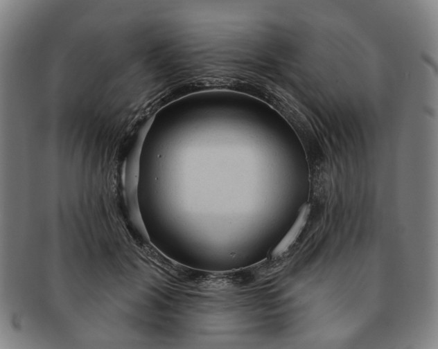 X0000091190604200708231510