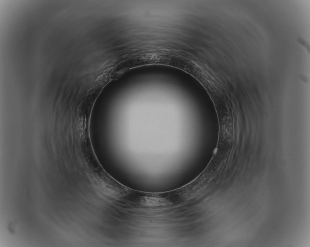 X0000091190605200708231510