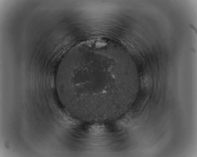 X0000091190606200708231510