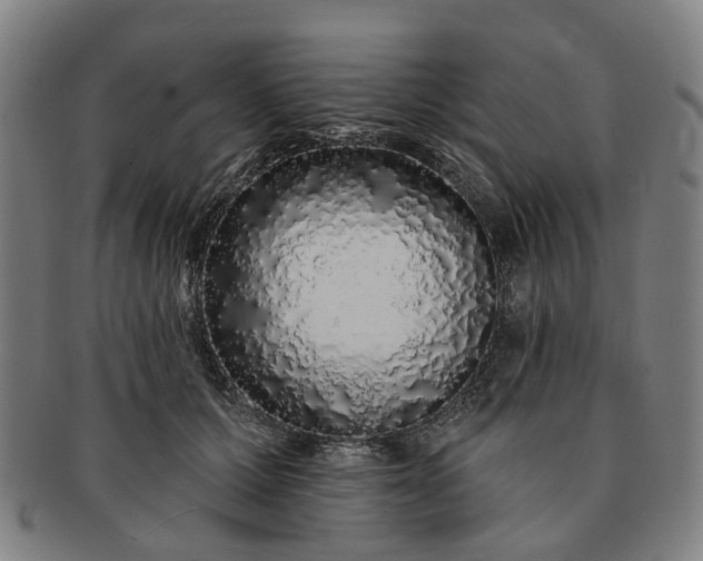 X0000091190607200708231510