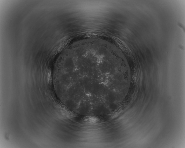 X0000091190610200708231510