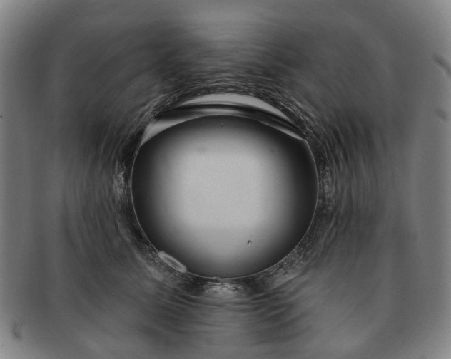 X0000091190611200708231510