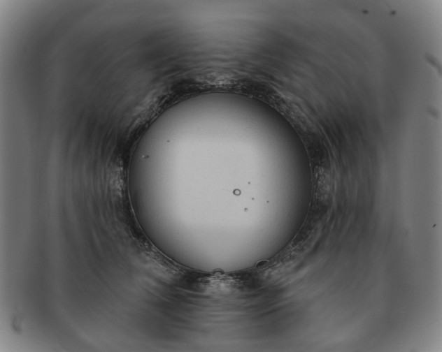 X0000091190612200708231510