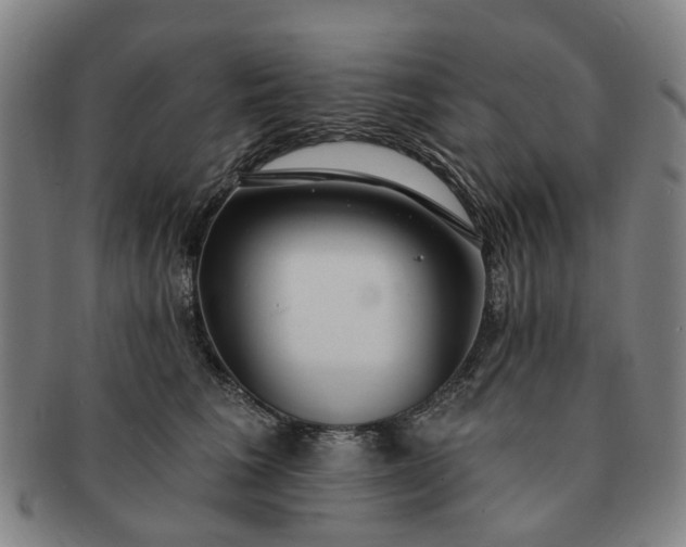 X0000091190613200708231510