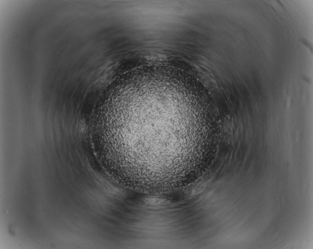 X0000091190614200708231510