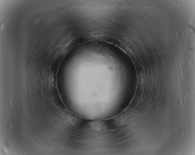 X0000091190615200708231510