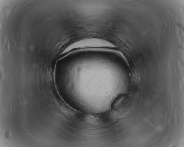 X0000091190616200708231510