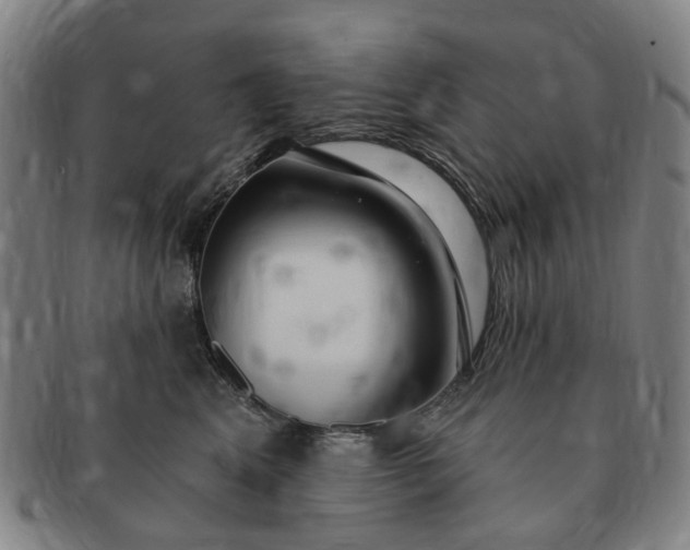 X0000091190617200708231510