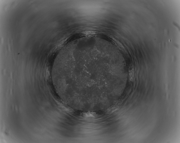 X0000091190618200708231510